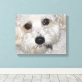 Chase Cavachon Canvas Verpakte Print (Insitu (Houten vloer))