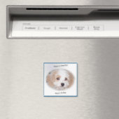 Chase Cavachon Magnet Magneet (Insitu (Vaatwasser))
