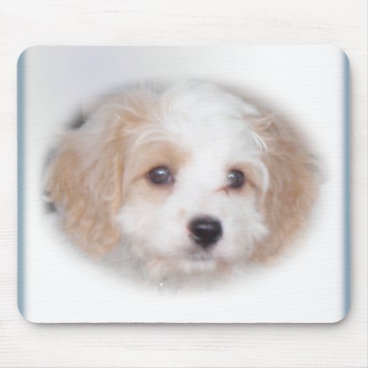 Chase Cavachon Mousepad Muismat (Voorkant)