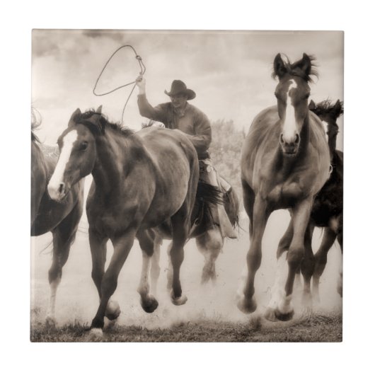 Chase I Tegeltje (Voorkant)