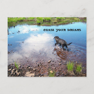 Chase Your Dreams Briefkaart