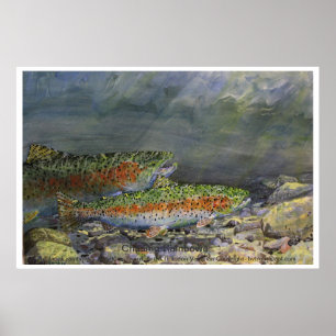 Chasing Rainbows Poster