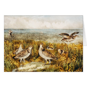 Chasse à la caille - Art fin Vintage