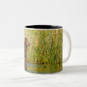 Chasse à la Mug de café de chien par un pêcheur de (Devant droit)