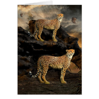 Chasse à Paris - Cheetahs