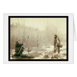 Chasse de cerfs communs en bois mort le Dakota du