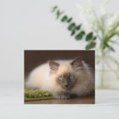 Chasse de la carte postale de souris (Debout devant)