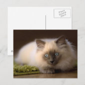 Chasse de la carte postale de souris (Devant / Derrière)
