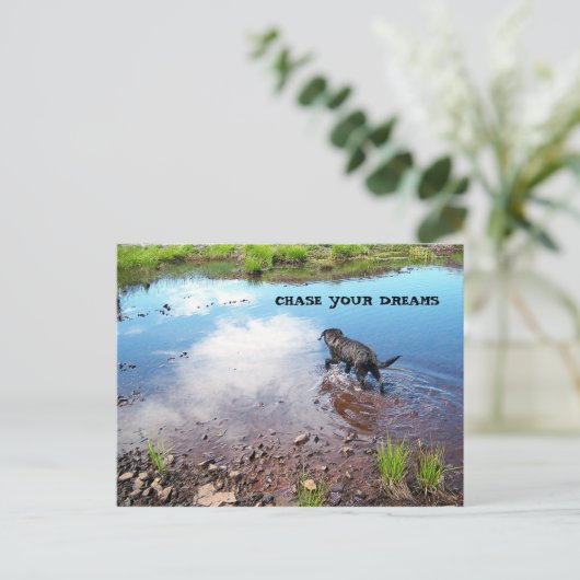 Chasser votre carte postale Dreams (Debout devant)