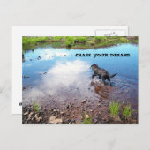 Chasser votre carte postale Dreams (Devant / Derrière)