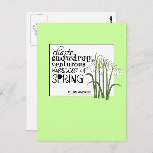 Chaste Snowdrop Briefkaart (Voorkant / Achterkant)