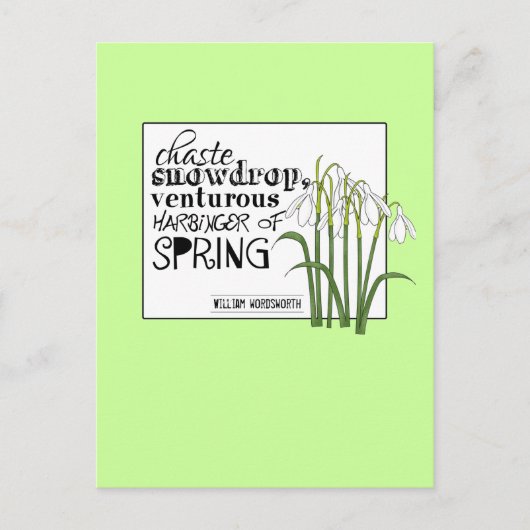 Chaste Snowdrop Briefkaart (Voorkant)