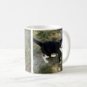 Chat 10, Mug (Devant droit)