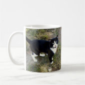 Chat 10, Mug (Gauche)