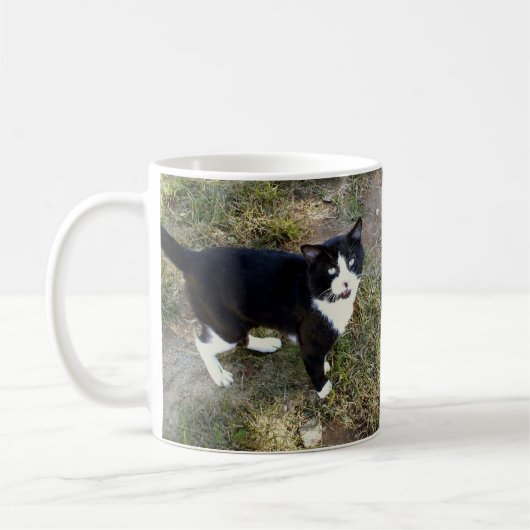 Chat 10, Mug (Gauche)