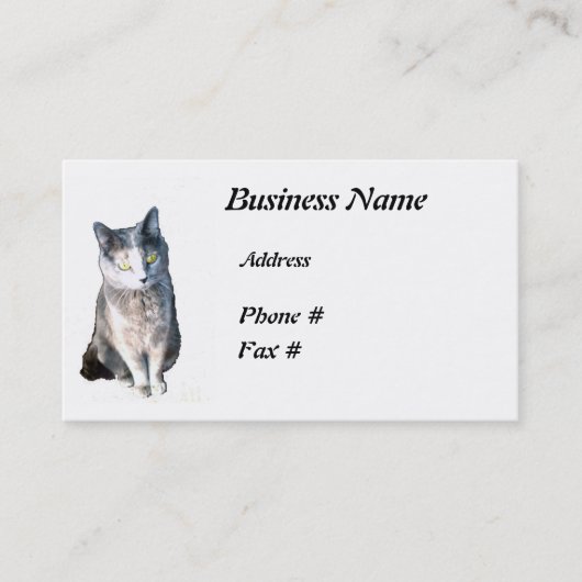 Chat 11, Carte de visite (Devant)