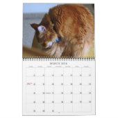 Chat 2012 de calendrier (Mar 2026)