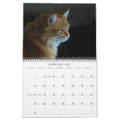Chat 2012 de calendrier (Feb 2027)