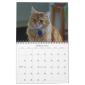 Chat 2012 de calendrier (Mar 2027)