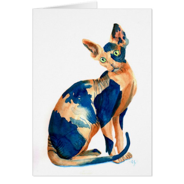 Chat 6 de Sphynx (Devant)