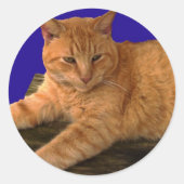 Chat 8, Stickers (Devant)