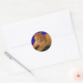 Chat 8, Stickers (Enveloppe)