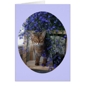Chat à fleurs (ovale)