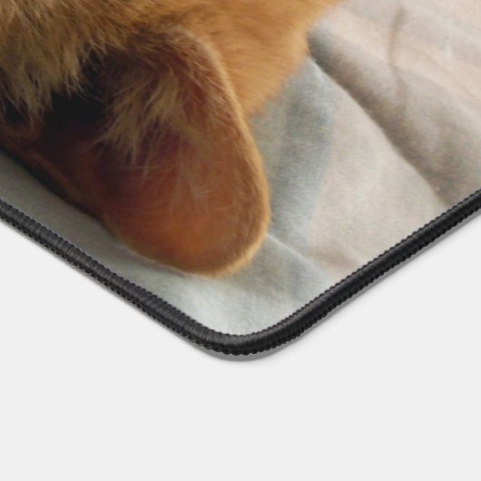 Chat à gingembre couché (Coin)