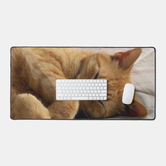 Chat à gingembre couché (Clavier et souris)