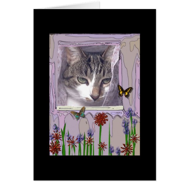 Chat à la fenêtre (Devant)