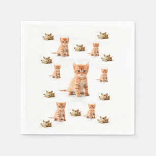 Chat à serviettes en papier