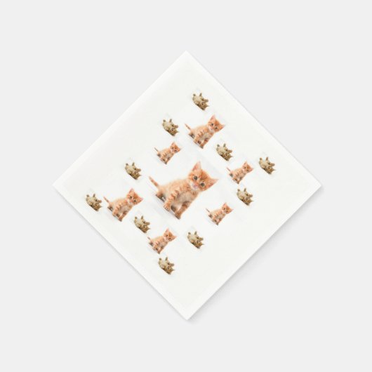 Chat à serviettes en papier (Coin)