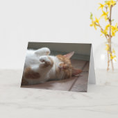 Chat adorable Penser de vous Carte (Fleur jaune)
