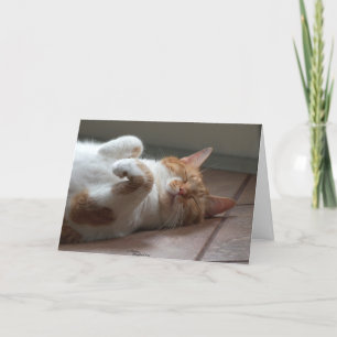 Chat adorable Penser de vous Carte
