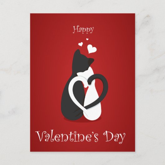 Chat amour valentines jour carte postale (Devant)