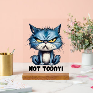 Chat amusant aujourd'hui