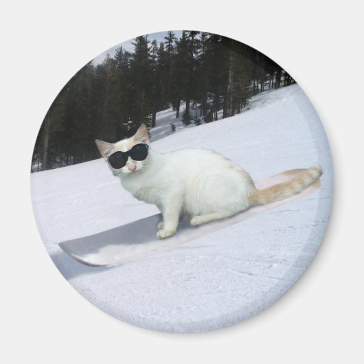 Chat amusant sur un aimant de snowboard (Devant)