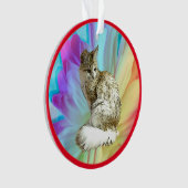 Chat Angora turc (devant)