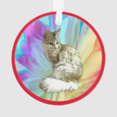 Chat Angora turc (dos)