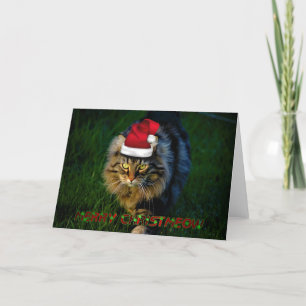 Chat animal de minou de Noël de Noël de carte de