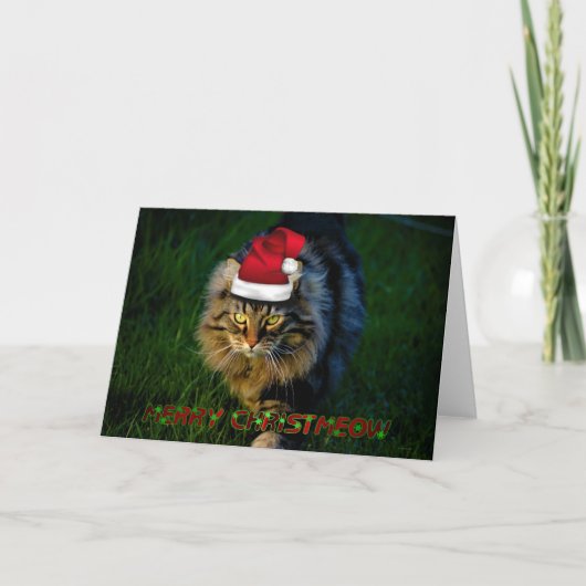 Chat animal de minou de Noël de Noël de carte de (Devant)