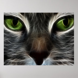 Chat Animal Photo Nature Wall Poster