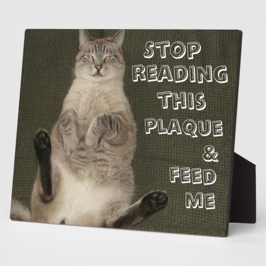 Chat "ARRÊTEZ DE LIRE CETTE PLAQUE & FEED ME" Plaq (Côté)