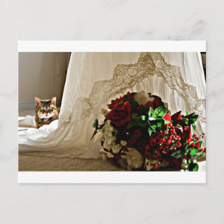 Chat assis Derrière Les Cartes Postales Mariages