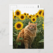 Chat au gingembre mignon dans Sunflower Carte post (Devant / Derrière)