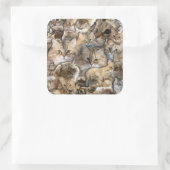 Chat! Autocollants de la forêt de Sibérie (Sac)