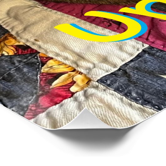 Chat avec affiche d'attitude (Coin)