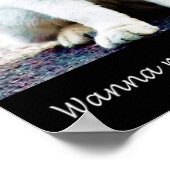 Chat avec affiche d'attitude (Coin)