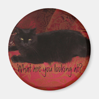 Chat avec aimant d'attitude