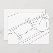 Chat avec beachball, cartes postales de couleur (Devant / Derrière)